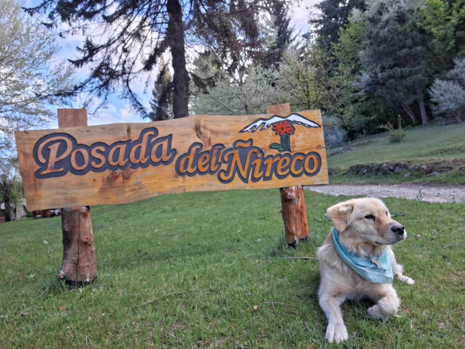 Posada Del Nireco San Carlos de Bariloche Exterior photo